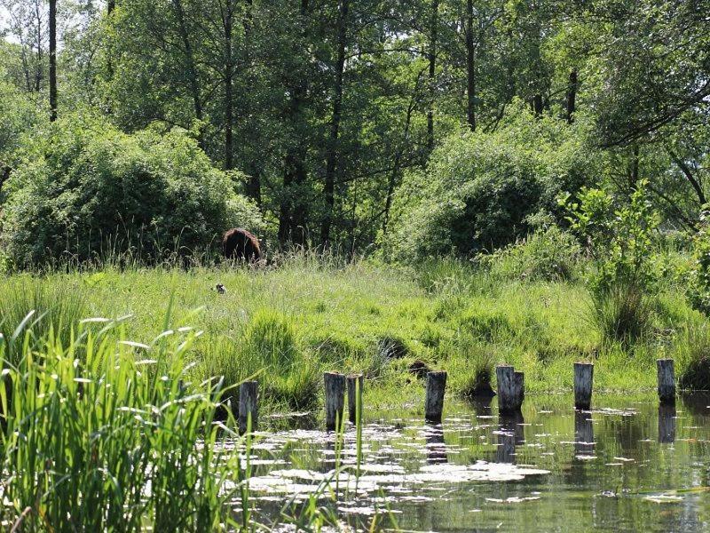 Ferienwohnung Inas Spreewaldstube Vetschau/Spreewald Exterior foto