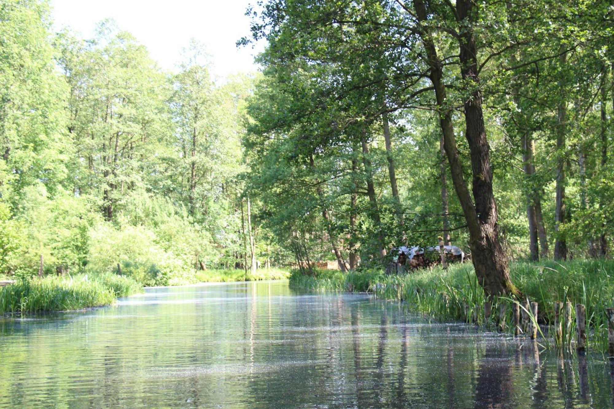 Ferienwohnung Inas Spreewaldstube Vetschau/Spreewald Exterior foto